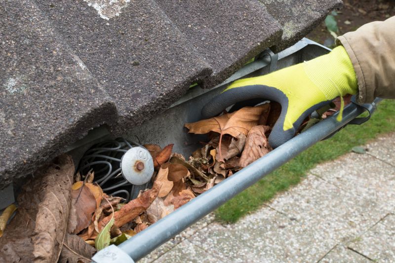 Clean Gutters and Downspouts